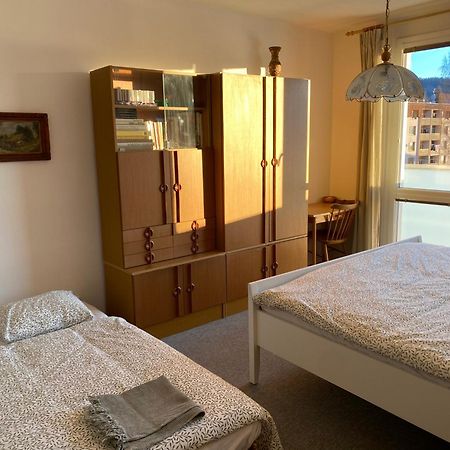 Apartman Pod Studenou Horou Rokytnice nad Jizerou Exterior photo